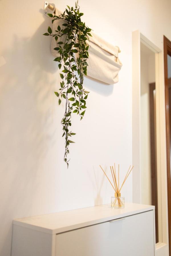 Apartamento Unicornio Sanlúcar de Barrameda Екстериор снимка